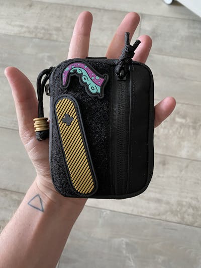 cool little sturdy pouch